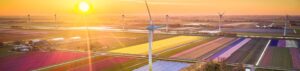 Image of a wind farm over farm fields symbolising renewable energy valuation and risk analytics.